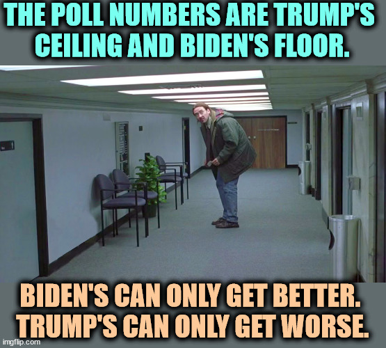 Poll Derangement Syndrome | THE POLL NUMBERS ARE TRUMP'S 
CEILING AND BIDEN'S FLOOR. BIDEN'S CAN ONLY GET BETTER. 
TRUMP'S CAN ONLY GET WORSE. | image tagged in polls,biden,up,trump,down | made w/ Imgflip meme maker
