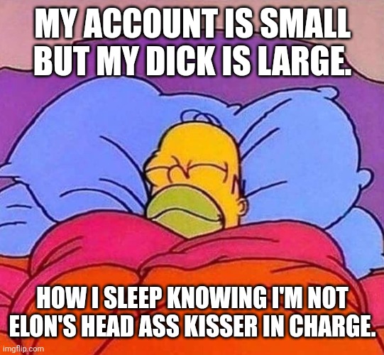 Yawn | MY ACCOUNT IS SMALL BUT MY DICK IS LARGE. HOW I SLEEP KNOWING I'M NOT ELON'S HEAD ASS KISSER IN CHARGE. | image tagged in homer simpson sleeping peacefully | made w/ Imgflip meme maker