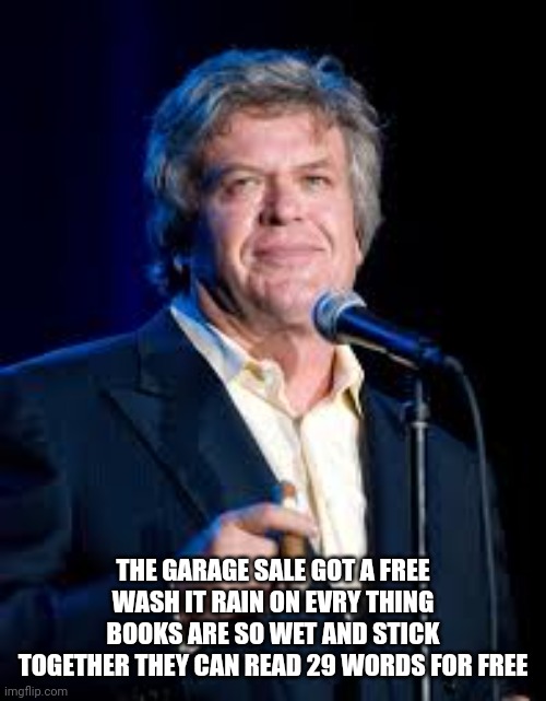 Garage fail sale | THE GARAGE SALE GOT A FREE WASH IT RAIN ON EVRY THING BOOKS ARE SO WET AND STICK TOGETHER THEY CAN READ 29 WORDS FOR FREE | image tagged in funny,dark humor,funny memes | made w/ Imgflip meme maker