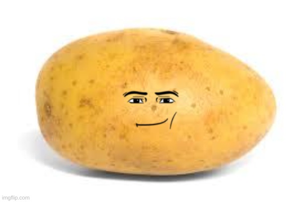 Potato | image tagged in potato | made w/ Imgflip meme maker