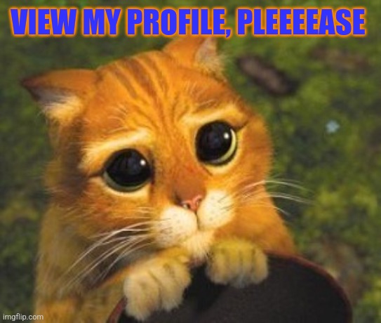 Sad Puppy Eyes Cat | VIEW MY PROFILE, PLEEEEASE | image tagged in sad puppy eyes cat | made w/ Imgflip meme maker