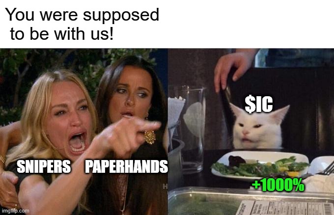 $IC token | You were supposed
 to be with us! $IC; SNIPERS     PAPERHANDS; +1000% | image tagged in memes,woman yelling at cat | made w/ Imgflip meme maker