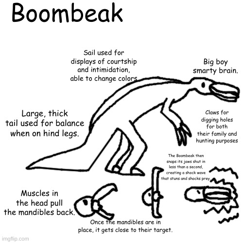 QUITE CACOPHONOUS | Boombeak; Sail used for displays of courtship and intimidation, able to change colors; Big boy smarty brain. Large, thick tail used for balance when on hind legs. Claws for digging holes for both their family and hunting purposes; The Boombeak then snaps its jaws shut in less than a second, creating a shock wave that stuns and shocks prey. Muscles in the head pull the mandibles back. Once the mandibles are in place, it gets close to their target. | made w/ Imgflip meme maker
