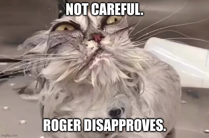Careless Roger | NOT CAREFUL. ROGER DISAPPROVES. | image tagged in really careful roger | made w/ Imgflip meme maker