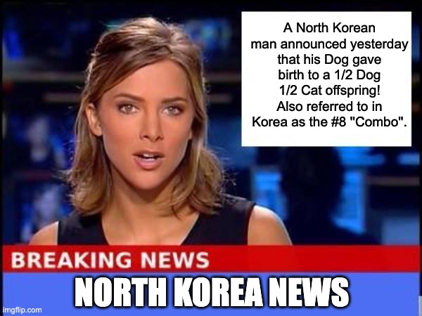 Combo #8 | A North Korean man announced yesterday that his Dog gave birth to a 1/2 Dog 1/2 Cat offspring! Also referred to in Korea as the #8 ''Combo''. NORTH KOREA NEWS | image tagged in breaking news | made w/ Imgflip meme maker