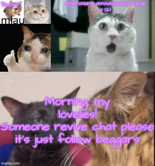 AmeTonian's announcement Temp v 1.2.1 | Morning, my lovelies!
Someone revive chat please it's just follow beggars | image tagged in ametonian's announcement temp v 1 2 1 | made w/ Imgflip meme maker