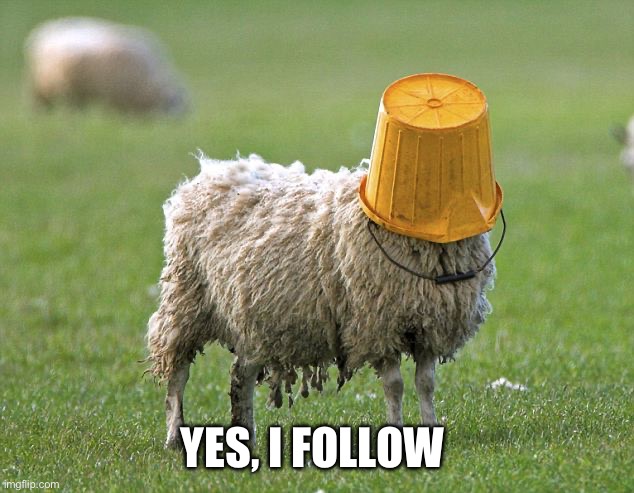 stupid sheep | YES, I FOLLOW | image tagged in stupid sheep | made w/ Imgflip meme maker