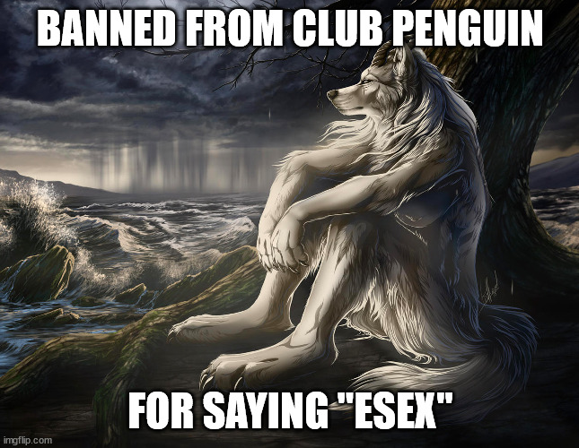 banned from club penguin | BANNED FROM CLUB PENGUIN; FOR SAYING "ESEX" | image tagged in sitting wolf,esex,club penguin,funny,farting,edgy | made w/ Imgflip meme maker