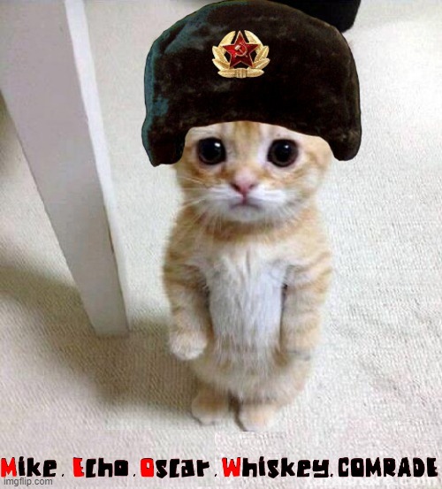 Do not translate Secret Code. (Spies everywhere, Comrade.) | image tagged in vince vance,russia,cats,comrades,meow,funny cat memes | made w/ Imgflip meme maker
