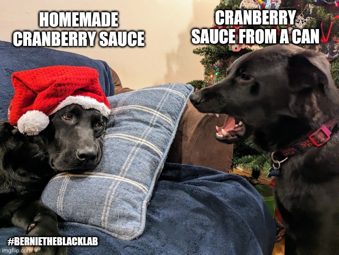 Arguing Christmas dogs | CRANBERRY SAUCE FROM A CAN; HOMEMADE CRANBERRY SAUCE; #BERNIETHEBLACKLAB | image tagged in arguing christmas dogs,christmas,funny dogs,angry lady cat,funny memes,christmas memes | made w/ Imgflip meme maker