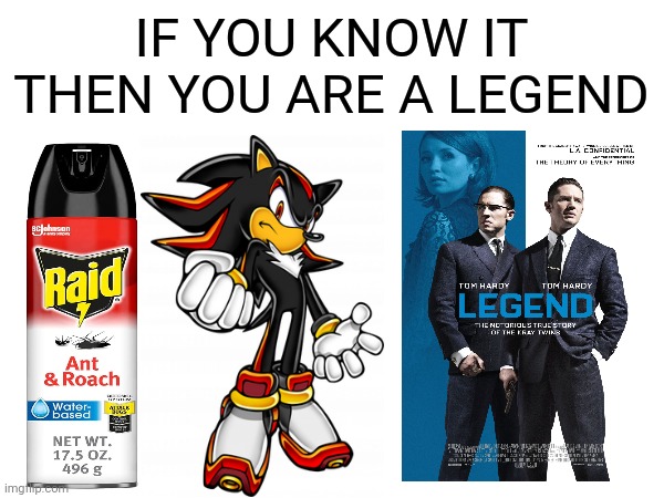 If you know it you know it | IF YOU KNOW IT THEN YOU ARE A LEGEND | image tagged in raid,shadow,legends,raid shadow legends | made w/ Imgflip meme maker