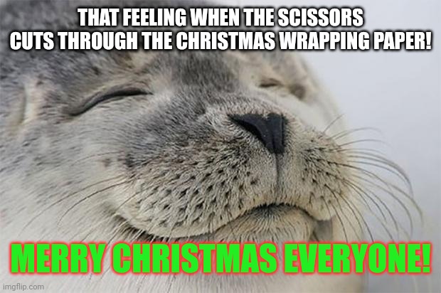 Satisfied Seal Meme | THAT FEELING WHEN THE SCISSORS CUTS THROUGH THE CHRISTMAS WRAPPING PAPER! MERRY CHRISTMAS EVERYONE! | image tagged in memes,satisfied seal | made w/ Imgflip meme maker