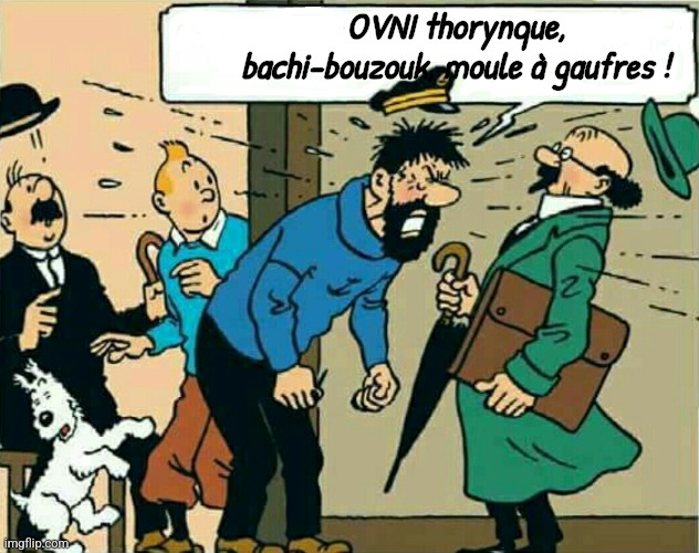 Captain Haddock | OVNI thorynque, bachi-bouzouk, moule à gaufres ! | image tagged in captain haddock | made w/ Imgflip meme maker