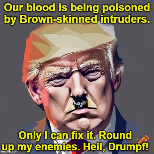 Heil Drumpf | Our blood is being poisoned by Brown-skinned intruders. Only I can fix it. Round up my enemies. Heil, Drumpf! | image tagged in maga,donald trump approves,donald trump is an idiot,make donald drumpf again,nevertrump meme,the scroll of truth | made w/ Imgflip meme maker