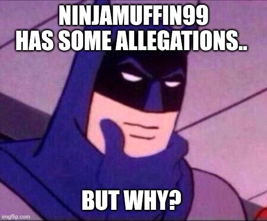 NINJAMUFFIN99 has allegations! | NINJAMUFFIN99 HAS SOME ALLEGATIONS.. BUT WHY? | image tagged in batman thinking,fnf,bad news,controversy | made w/ Imgflip meme maker