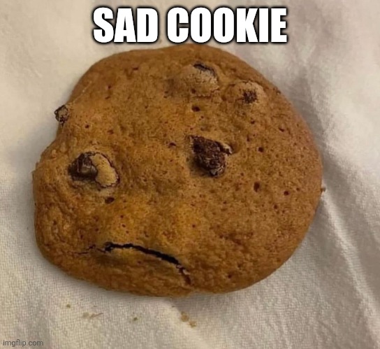 Sad cookie | SAD COOKIE | made w/ Imgflip meme maker