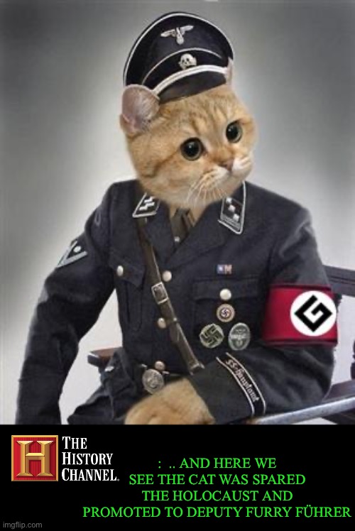 Grammar Nazi Cat | :  .. AND HERE WE SEE THE CAT WAS SPARED THE HOLOCAUST AND PROMOTED TO DEPUTY FURRY FÜHRER | image tagged in grammar nazi cat | made w/ Imgflip meme maker