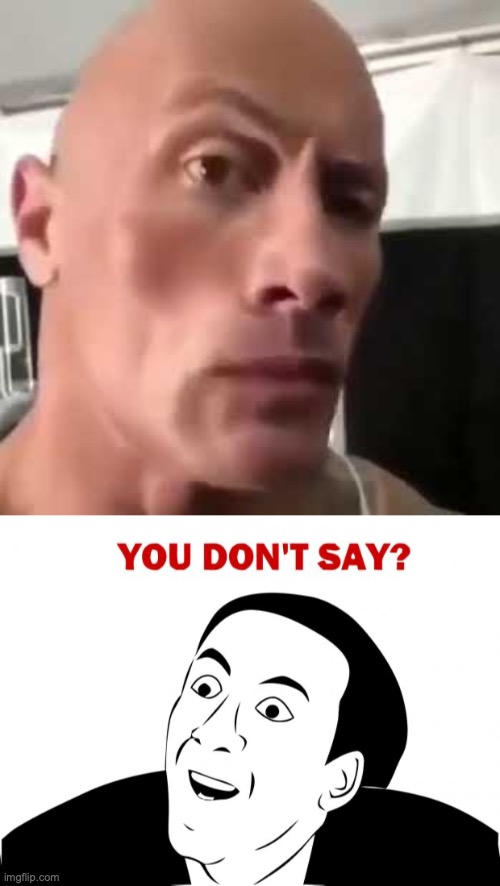 image tagged in the rock eyebrows,memes,you don't say | made w/ Imgflip meme maker