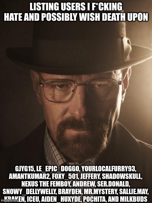 Walter White | LISTING USERS I F*CKING HATE AND POSSIBLY WISH DEATH UPON; GJYG15, LE_EPIC_DOGGO, YOURLOCALFURRY93, AMANTKUMAR2, FOXY_501, JEFFERY, SHADOWSKULL, NEXUS THE FEMBOY, ANDREW, SER.DONALD, SNOWY_DELLYWELLY, BRAYDEN, MR.MYSTERY, SALLIE.MAY, KRAKEN, ICEU, AIDEN_HUXYDE, POCHITA, AND MILKBUDS | image tagged in walter white | made w/ Imgflip meme maker
