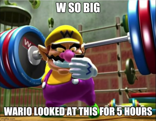 Wario Texting | W SO BIG WARIO LOOKED AT THIS FOR 5 HOURS | image tagged in wario texting | made w/ Imgflip meme maker