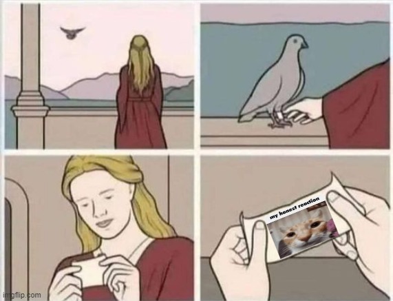 Pigeon handing note | image tagged in pigeon handing note | made w/ Imgflip meme maker