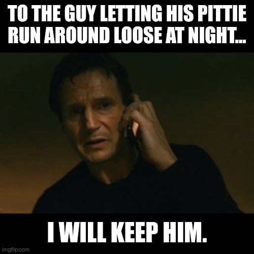 Liam Neeson Taken Meme | TO THE GUY LETTING HIS PITTIE RUN AROUND LOOSE AT NIGHT... I WILL KEEP HIM. | image tagged in memes,liam neeson taken,dog | made w/ Imgflip meme maker