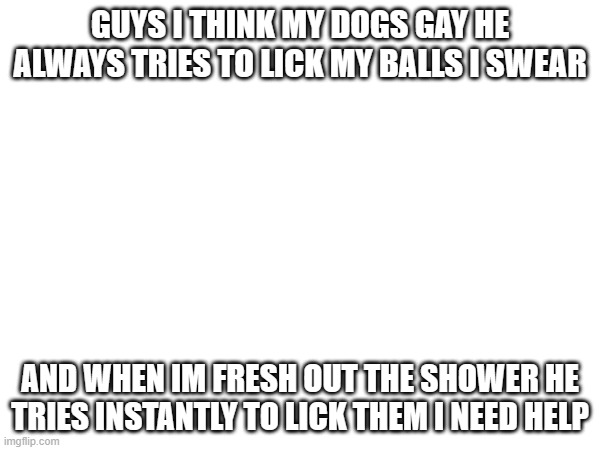 help me | GUYS I THINK MY DOGS GAY HE ALWAYS TRIES TO LICK MY BALLS I SWEAR; AND WHEN IM FRESH OUT THE SHOWER HE TRIES INSTANTLY TO LICK THEM I NEED HELP | image tagged in help,mydogisgay | made w/ Imgflip meme maker