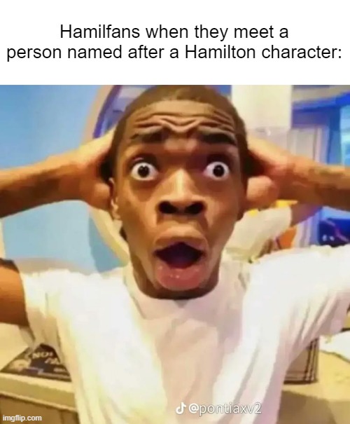 OMG IS THAT ALEXANDER HAMILTON!?!??!!!?!?!? OMG IS THAT LIN-MANUEL MIRANDA?!?!?!? | Hamilfans when they meet a person named after a Hamilton character: | image tagged in shocked black guy,hamilton | made w/ Imgflip meme maker