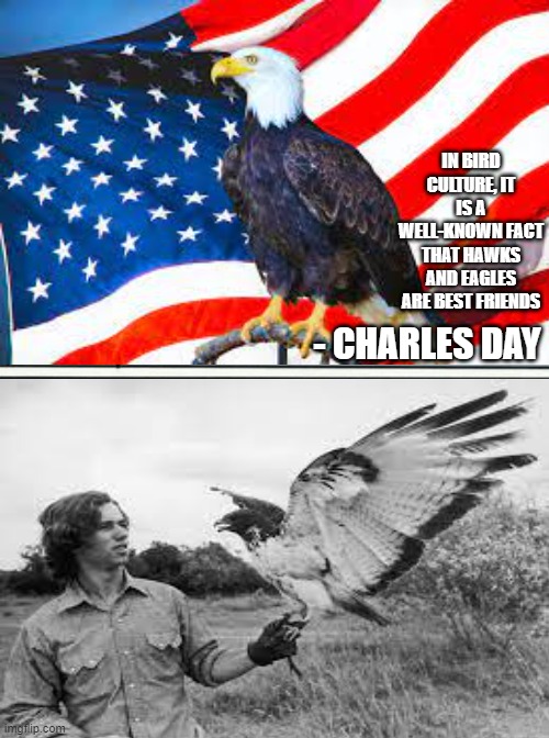 Kennedy, Birds, Hawks | IN BIRD CULTURE, IT IS A WELL-KNOWN FACT THAT HAWKS AND EAGLES ARE BEST FRIENDS; - CHARLES DAY | image tagged in america,bald eagle,hawk,kennedy | made w/ Imgflip meme maker