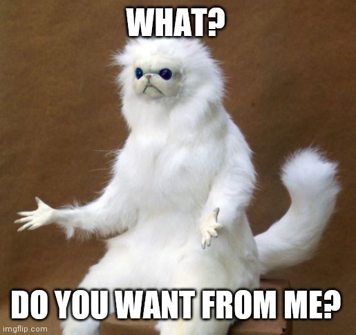What do you want? | WHAT? DO YOU WANT FROM ME? | image tagged in persian white monkey,funny memes | made w/ Imgflip meme maker