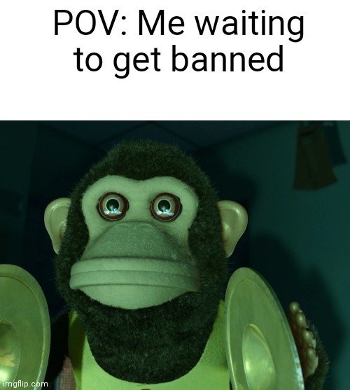 Toy Story Monkey | POV: Me waiting to get banned | image tagged in toy story monkey | made w/ Imgflip meme maker