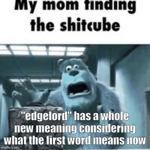 my mom finding the shitcube | "edgelord" has a whole new meaning considering what the first word means now | image tagged in my mom finding the shitcube | made w/ Imgflip meme maker