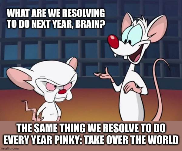 Same thing we do every day pinky | WHAT ARE WE RESOLVING TO DO NEXT YEAR, BRAIN? THE SAME THING WE RESOLVE TO DO EVERY YEAR PINKY: TAKE OVER THE WORLD | image tagged in same thing we do every day pinky | made w/ Imgflip meme maker