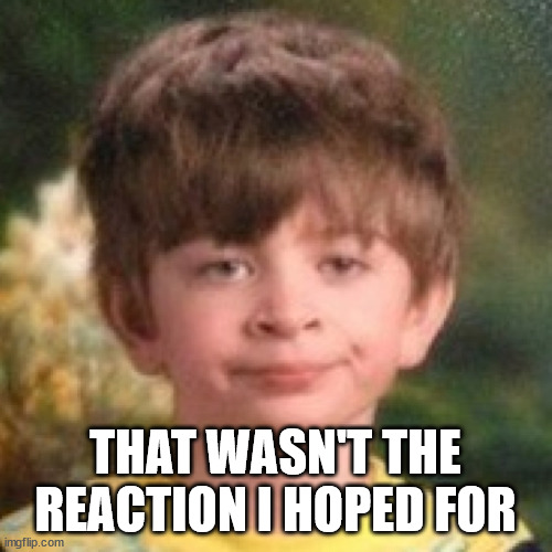 Annoyed face | THAT WASN'T THE REACTION I HOPED FOR | image tagged in annoyed face | made w/ Imgflip meme maker