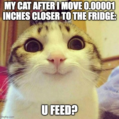Smiling Cat Meme | MY CAT AFTER I MOVE 0.00001 INCHES CLOSER TO THE FRIDGE:; U FEED? | image tagged in memes,smiling cat | made w/ Imgflip meme maker