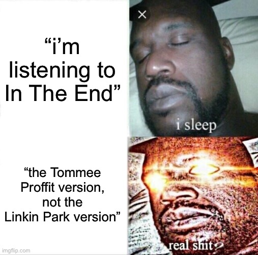 the Tommee version just removes all of the good-sounding background stuff and it’s essentially just a lofi song now | “i’m listening to In The End”; “the Tommee Proffit version, not the Linkin Park version” | image tagged in memes,sleeping shaq | made w/ Imgflip meme maker
