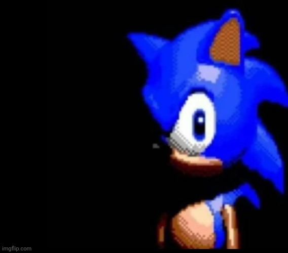 image tagged in sonic stares | made w/ Imgflip meme maker