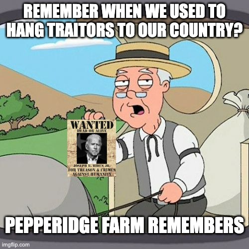 Pepperidge Farm Remembers | REMEMBER WHEN WE USED TO HANG TRAITORS TO OUR COUNTRY? PEPPERIDGE FARM REMEMBERS | image tagged in memes,pepperidge farm remembers | made w/ Imgflip meme maker