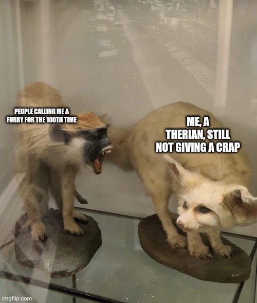 Monkey Screaming at Fox | PEOPLE CALLING ME A FURRY FOR THE 100TH TIME; ME, A THERIAN, STILL NOT GIVING A CRAP | image tagged in monkey screaming at fox | made w/ Imgflip meme maker