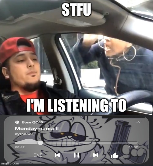 stfu im listening to | STFU; I'M LISTENING TO | image tagged in stfu im listening to | made w/ Imgflip meme maker