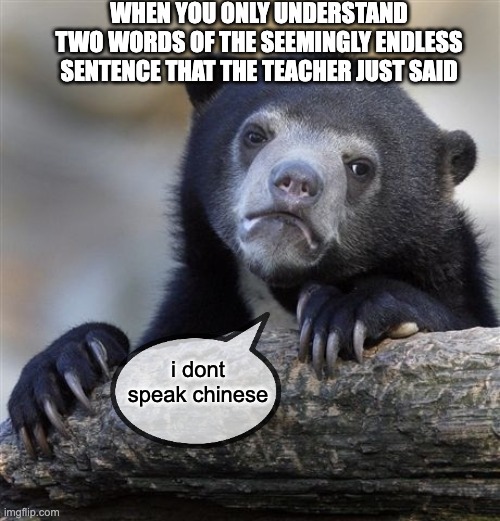 sir, please repeat it in english | WHEN YOU ONLY UNDERSTAND TWO WORDS OF THE SEEMINGLY ENDLESS SENTENCE THAT THE TEACHER JUST SAID; i dont speak chinese | image tagged in memes,confession bear | made w/ Imgflip meme maker