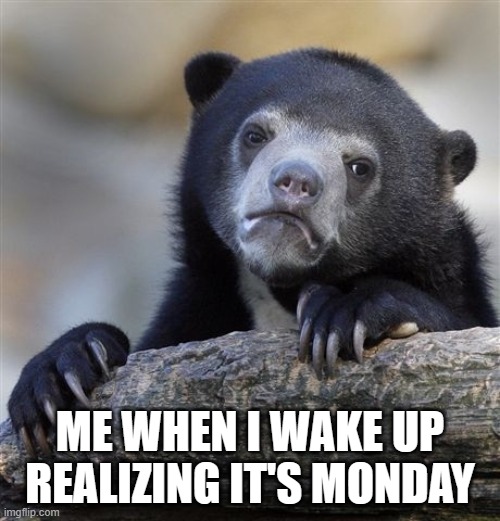 uuuhhh | ME WHEN I WAKE UP REALIZING IT'S MONDAY | image tagged in memes,confession bear | made w/ Imgflip meme maker