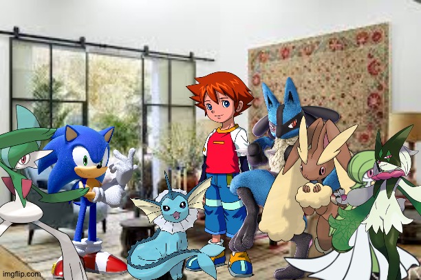 Sonic and Friends having a party in their house | image tagged in living room,sonic the hedgehog,sonic x,pokemon,crossover | made w/ Imgflip meme maker