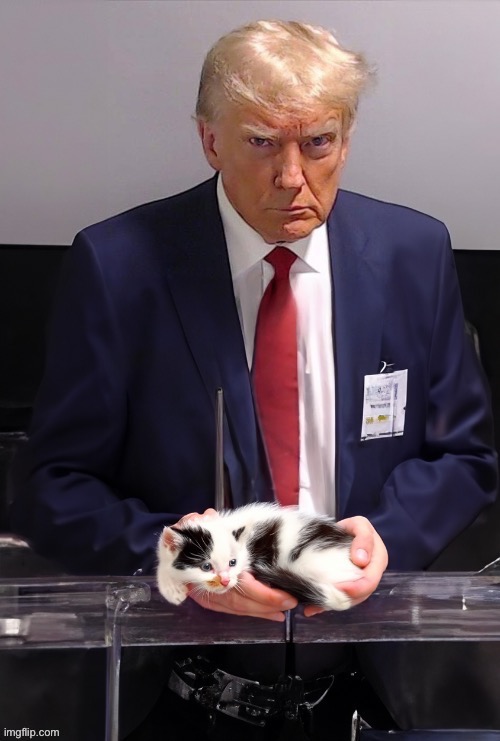 Dear liberals explain this | made w/ Imgflip meme maker