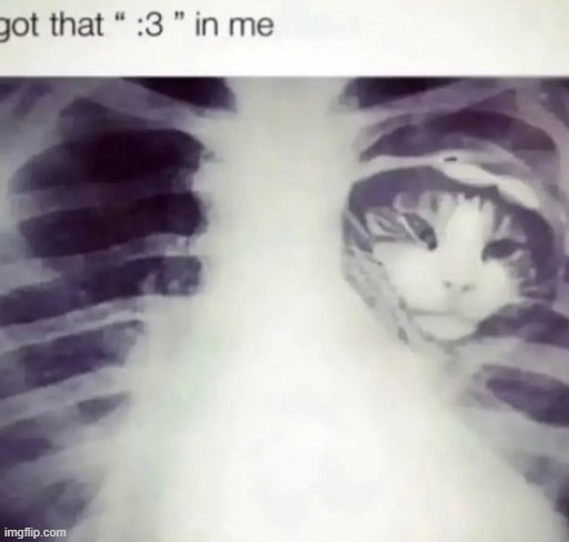 :3 | made w/ Imgflip meme maker