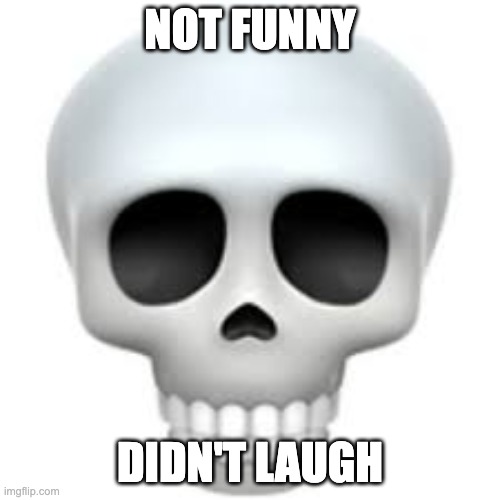 skull emoji | NOT FUNNY; DIDN'T LAUGH | image tagged in skull | made w/ Imgflip meme maker
