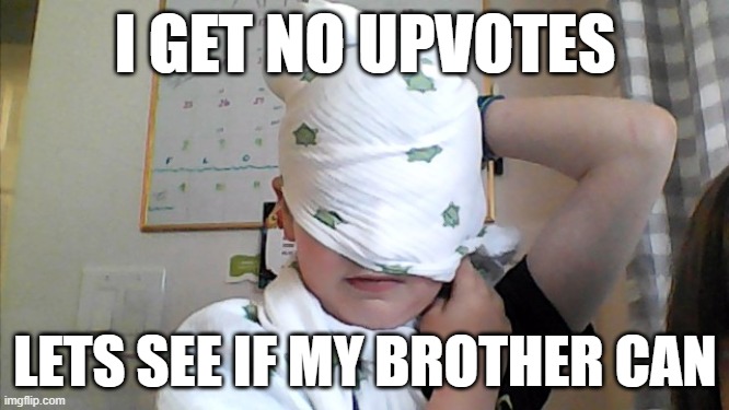 in hope i post this | I GET NO UPVOTES; LETS SEE IF MY BROTHER CAN | image tagged in brothers | made w/ Imgflip meme maker
