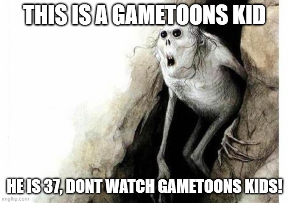 real | THIS IS A GAMETOONS KID; HE IS 37, DONT WATCH GAMETOONS KIDS! | image tagged in walking out of the basement,true,kids these days,lol | made w/ Imgflip meme maker