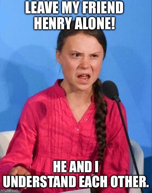 Greta Thunberg how dare you | LEAVE MY FRIEND HENRY ALONE! HE AND I UNDERSTAND EACH OTHER. | image tagged in greta thunberg how dare you | made w/ Imgflip meme maker