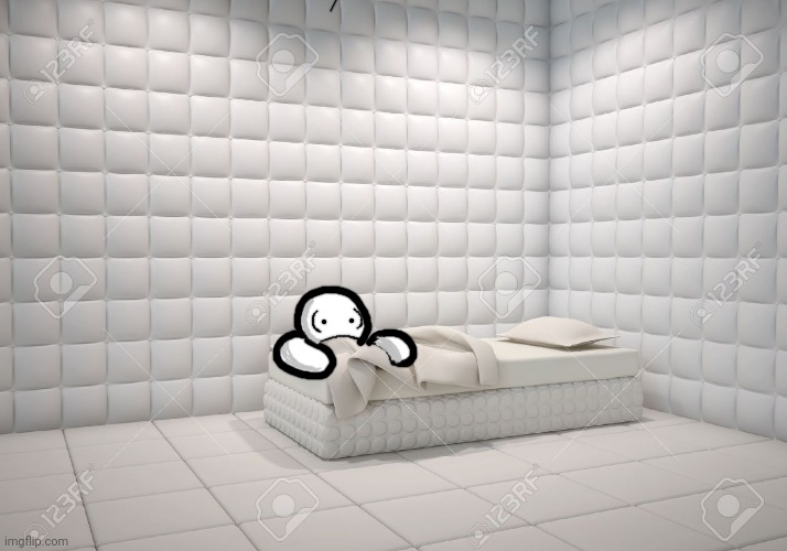 padded room | image tagged in padded room | made w/ Imgflip meme maker